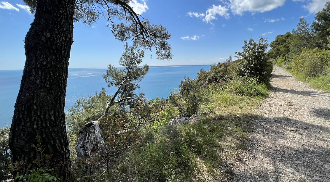 Carso Trieste - Panoramic view 1