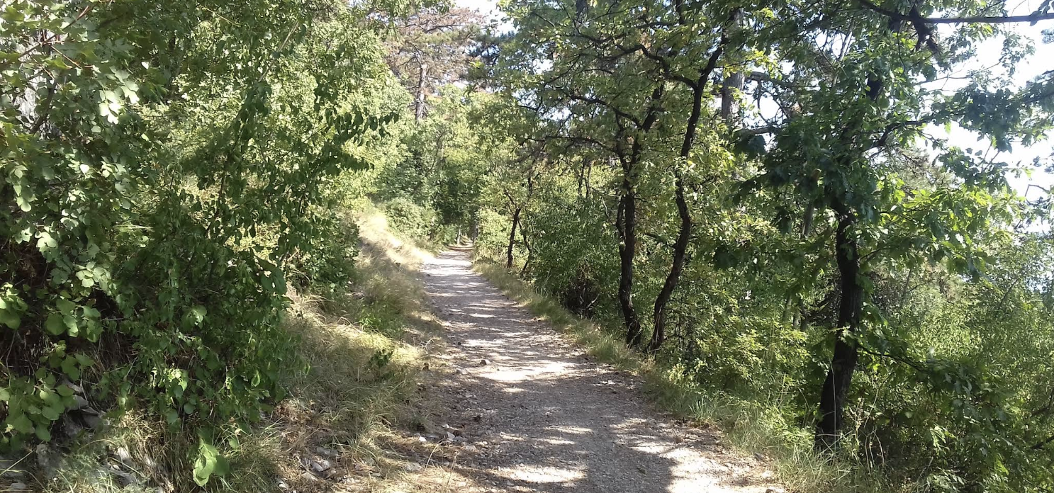 Carso Trieste - Panoramic view 9