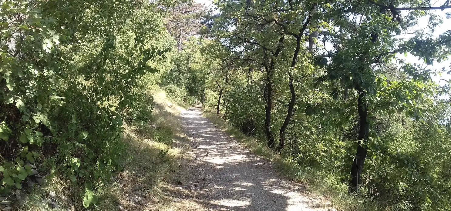 Carso Trieste - Panoramic view 9
